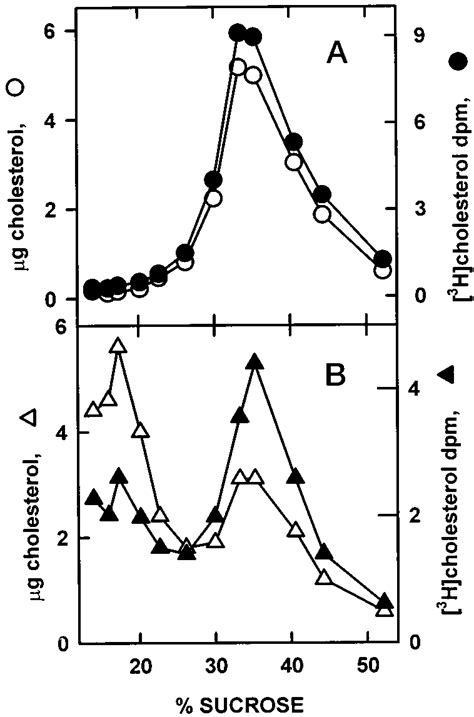 Transfer Of 3 H Cholesterol From Plasma Membrane To Lysosomes In