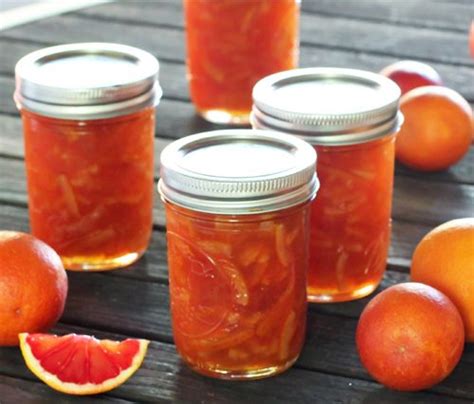 Blood Orange Marmalade Recipe With Pectin | Dandk Organizer