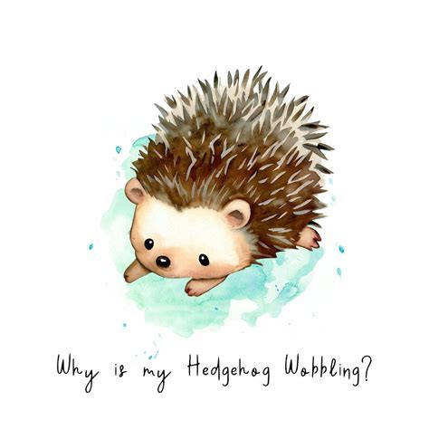 Why is my Hedgehog Wobbling?