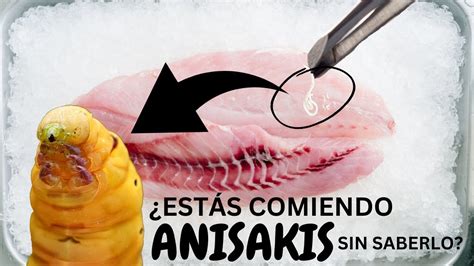 Debes Saber Esto C Mo Evitar Los Gusanos Anisakis En El Pescado