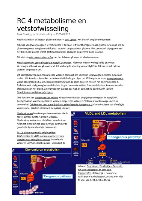 Rc 4 Metabolisme En Vetstofwisseling Het Betreft De Gluconeogenese