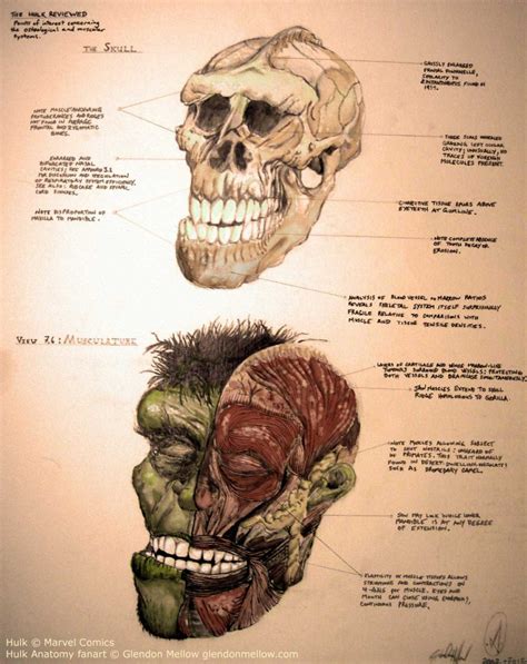 Anatomía de Hulk Naukas