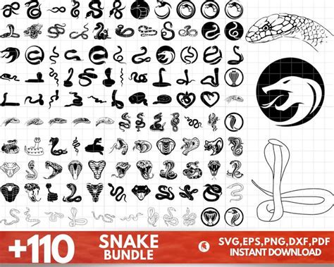 Snake Svg Bundle Snake Png Bundle Floral Snake Svg Snake Clipart