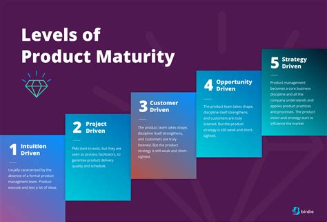 A Product Management Maturity Model To Uplevel Your Business Impact Birdie