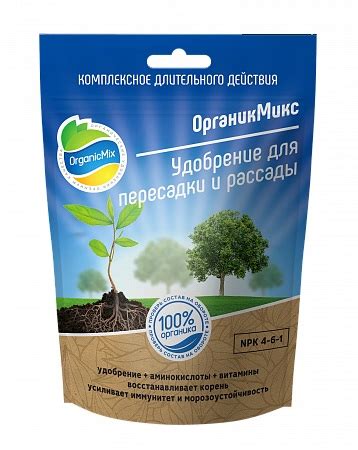 Пикировка рассады для лучшего урожая