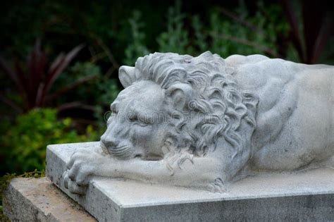 Lion Stone Statue Stock Image Image Of Gardens Arrogance 44642799