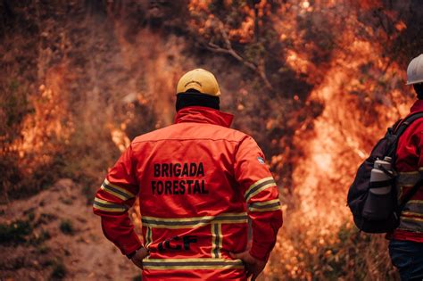 Hay 20 Incendios Forestales Activos En El País Este Miércoles Santo