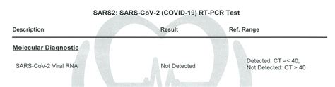 RT PCR CT Value Everything You Need To Know Homage Malaysia