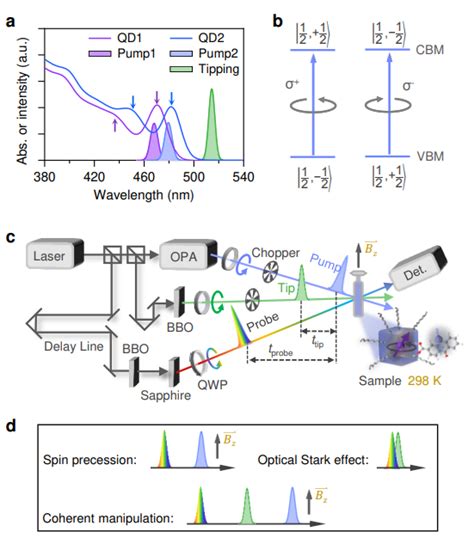 中科院大连化物所实现胶体量子点自旋的室温相干操控—论文—科学网