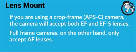 The Ultimate Guide to Canon's Best Zoom Lenses (in 2022)