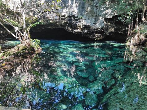 Cenote Cristalino – Cenotes Of Mexico