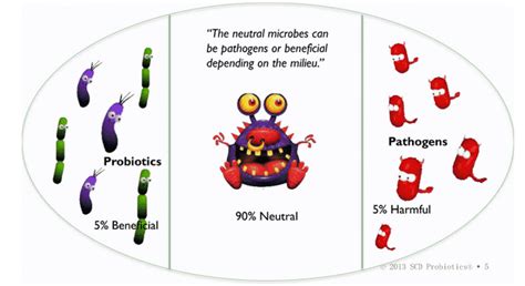 Bacteria - Good or BadEssential Probiotics