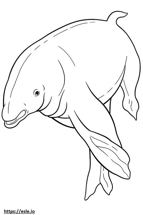 Bowhead Whale Friendly Coloring Page