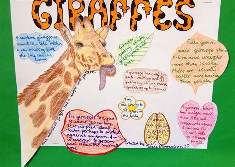 Animal facts posters | Science fair projects, Science poster, Science ...