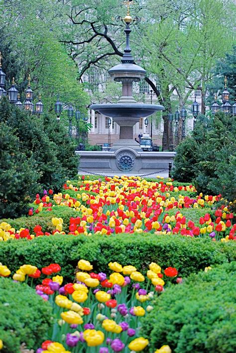 Central Park Spring Flowers - Spring Flowers, Conservatory Garden ...