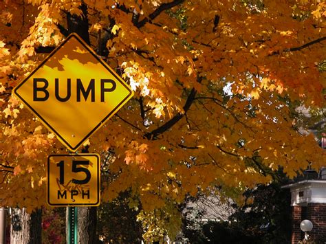 bump  photo  freeimages
