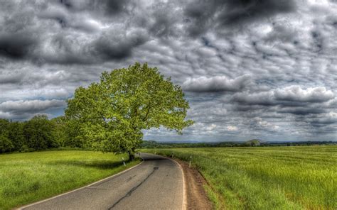 Wallpaper Trees Landscape Hill Nature Sky Field Road Clouds