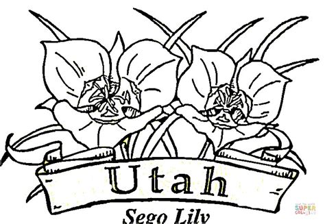 Utah State Flower Coloring Page Coloring Pages