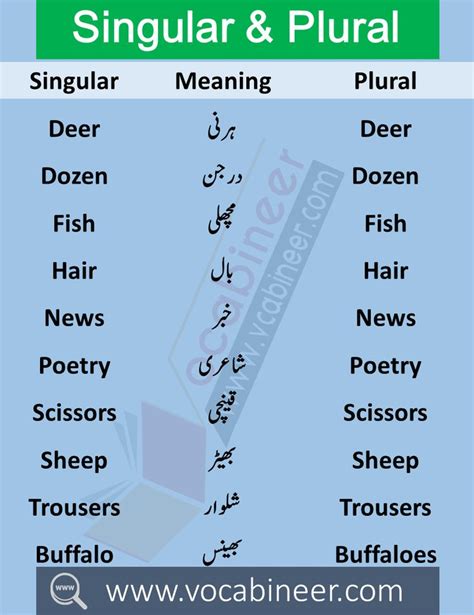 100 Singular Plural Nouns List Examples In Urdu Or Hindi With PDF