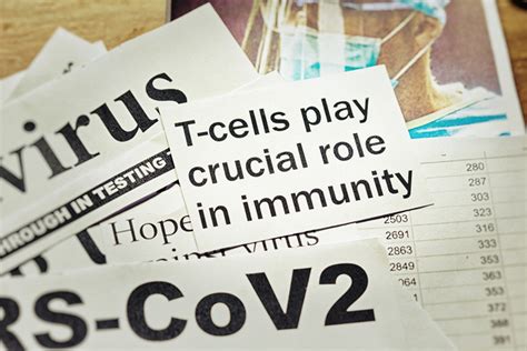 T-Cell Testing Could Show More Widespread Immunity to COVID-19