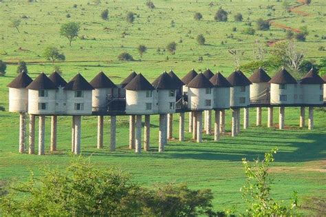 Day Safari In Tsavo East And Taita Hills Private Adventures From