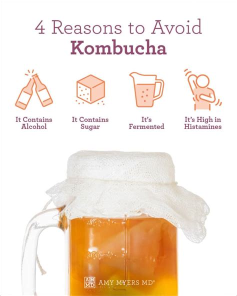 Kombucha Dangers Benefits Sale Stores Gt