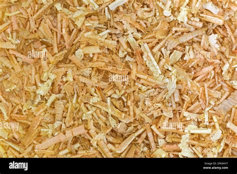 Closeup Texture Of Aromatic Flake Of Swiss Stone Pine Austrian Arolla