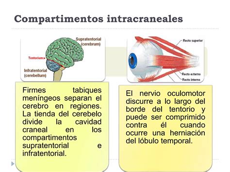 TRAUMA CRANEOENCEFÁLICO present pptx