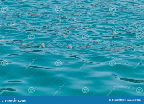 Panoramica Di Bella Chiara Superficie Dell Acqua Dell Oceano Del Mare