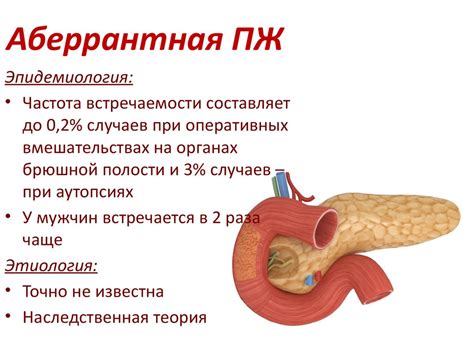 Поджелудочная железа. Аномалии развития (добавочная и кольцевидная ...