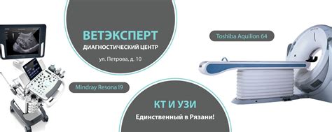 "Вет Эксперт" диагностический центр | Ветеринарный диагностический ...