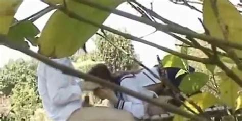 Bench Park Daylight Campus Fuck Tnaflix