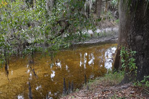 Peace River Trail Florida Hikes