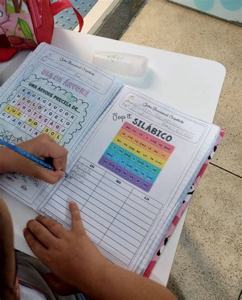 Curtidas Coment Rios Rede Pedag Gica Redepedagogica No