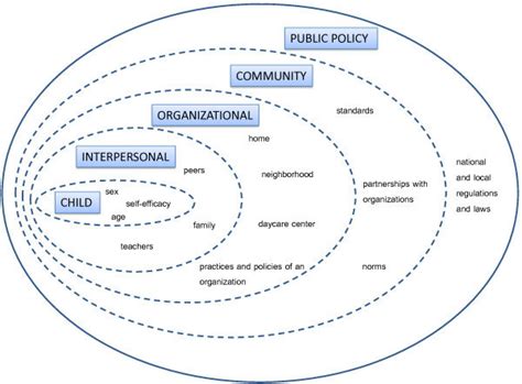 Socio Ecological Model Adapted From Mcleroy Kr Bibeau D Steckler A