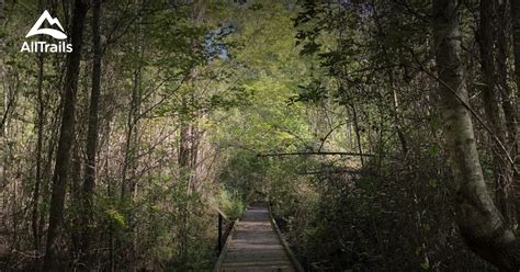 Best 10 Trails In Dismal Swamp State Park Alltrails