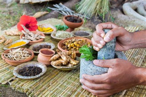 Modern Science Backs Up Ancient Knowledge Of Ayurveda Behind The Bench