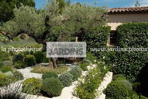 la photothèque LES PLUS BEAUX JARDINS Jardin provençal Paysagiste