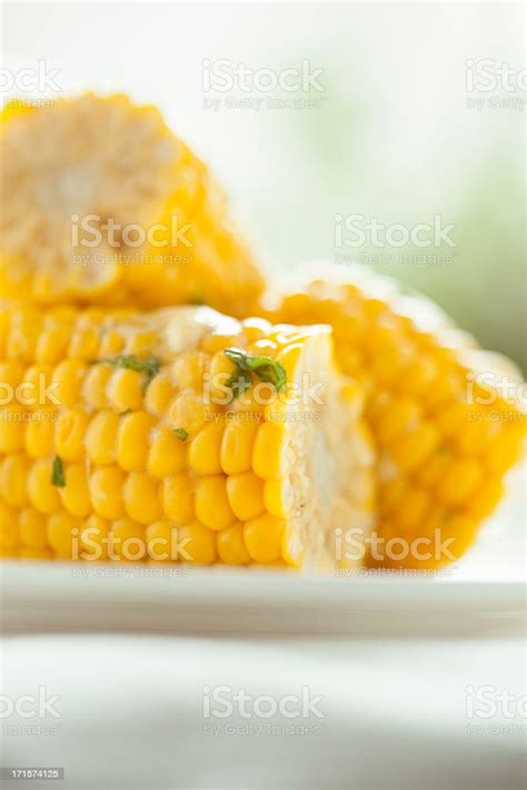 Steamed Corn Stock Photo - Download Image Now - Corn On The Cob, Butter, Color Image - iStock