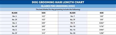 Pet Grooming Clipper Blade Chart Size And Use