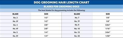 What Blade Do You Use For A Puppy Cut