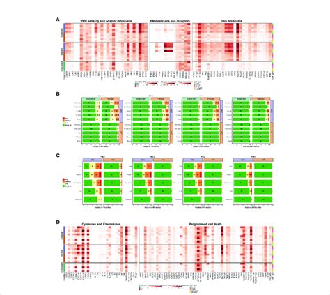 Cell Type Specific Host Antiviral Response To Pandemic Iav Infection