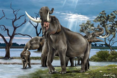 Palaeocast | Palaeontology podcasts