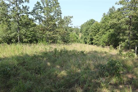 Hunting Land For Sale In Salem Ar