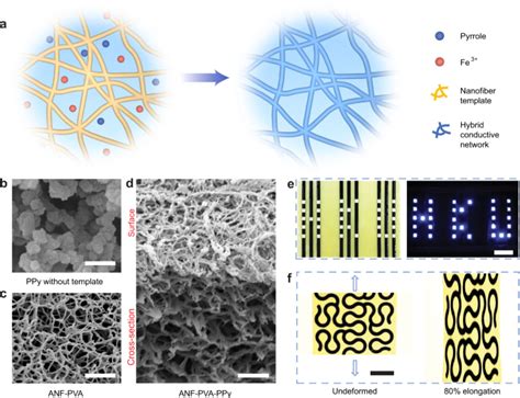 Hybrid Assembly Of Polymeric Nanofiber Network For Robust And