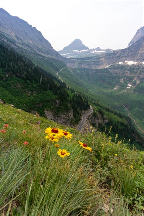 How To Hike The Highline Trail In Glacier National Park: Everything You Need To Know