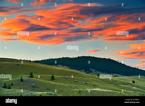 Grasslands Ecosystem Kamloops British Columbia Canada Stock Photo