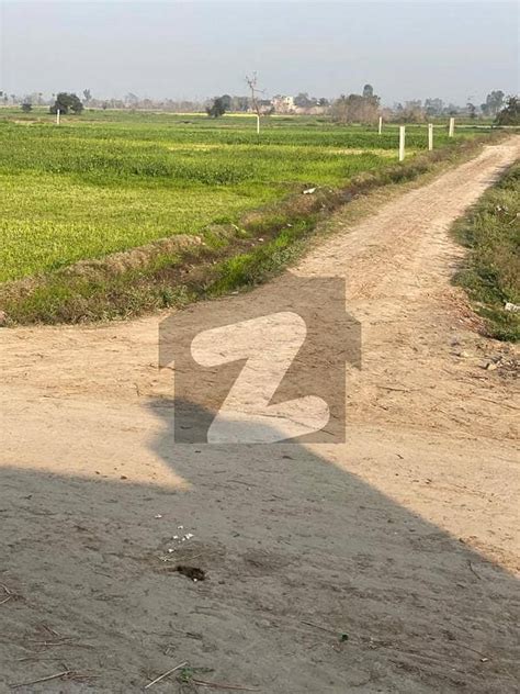 8 Kanal Farm House Land On Bedian Road Near Dha Phase 10 Lahore Bedian