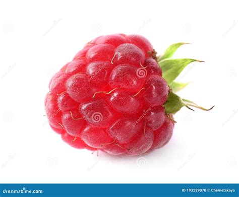 Delicious Fresh Ripe Raspberry Isolated Stock Photo Image Of Natural