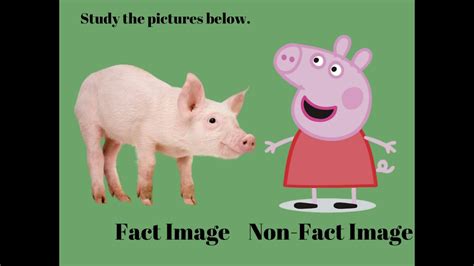 Fact And Non Fact Images English Class 6 Youtube